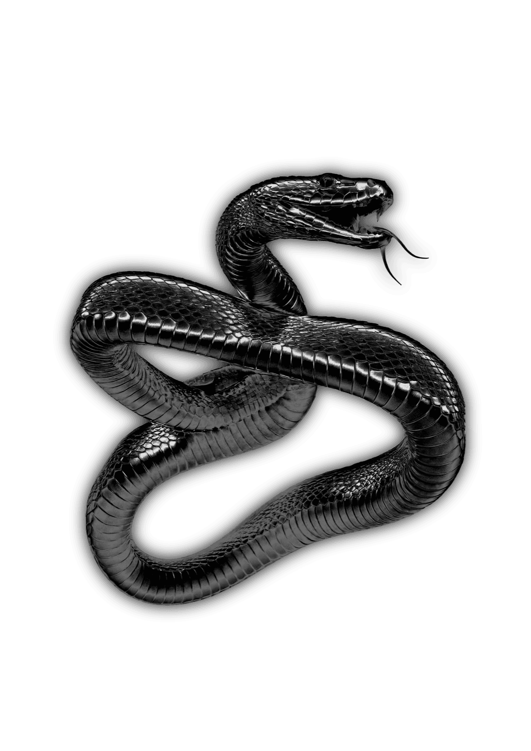 Serpent chromé SNEX