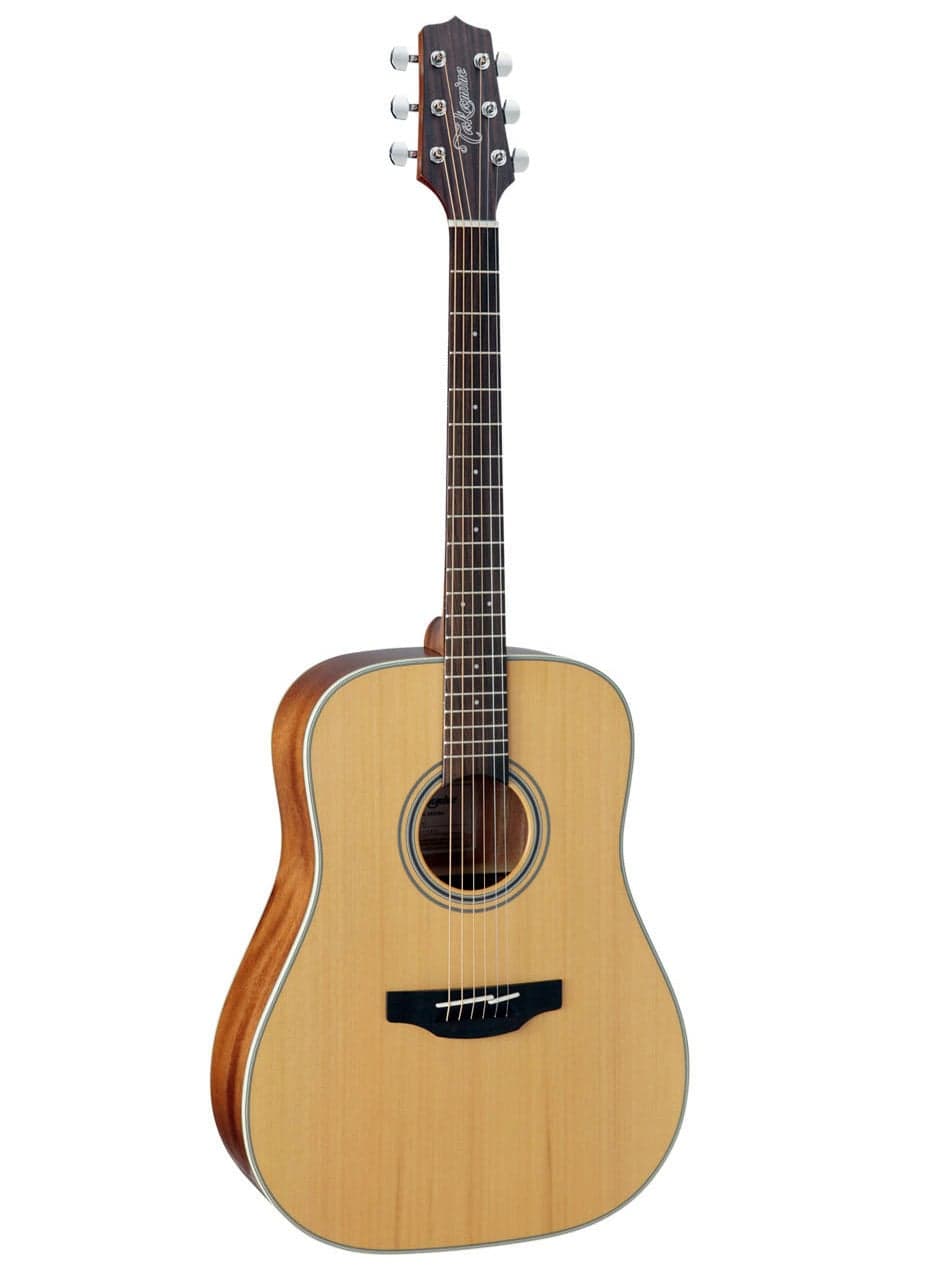 Takamine G Series 20 GD20