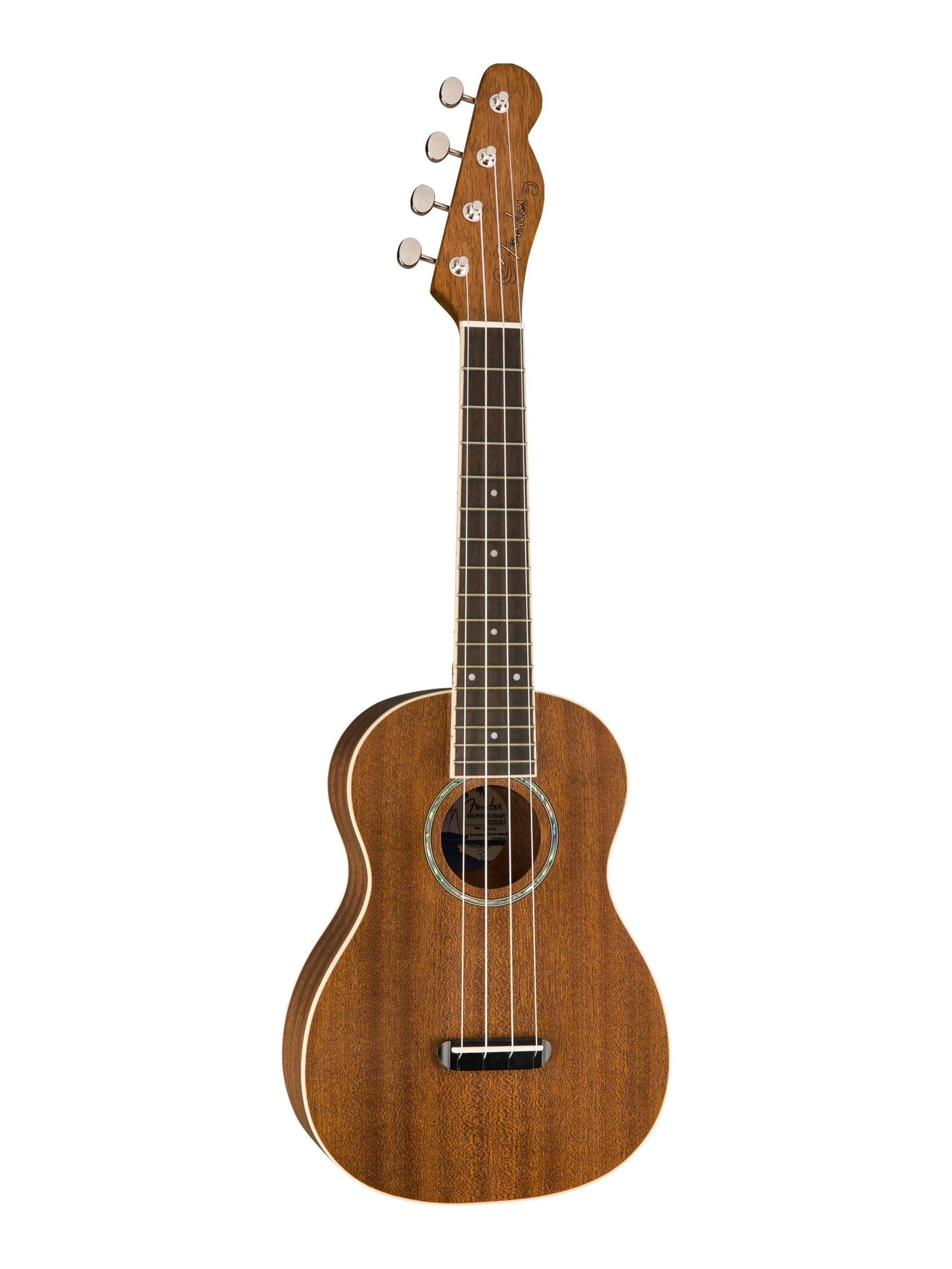 Fender Zuma dessus : sapelli arrière : sapelli
