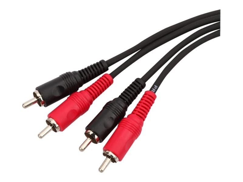 Shiver RCA / 2 RCA
