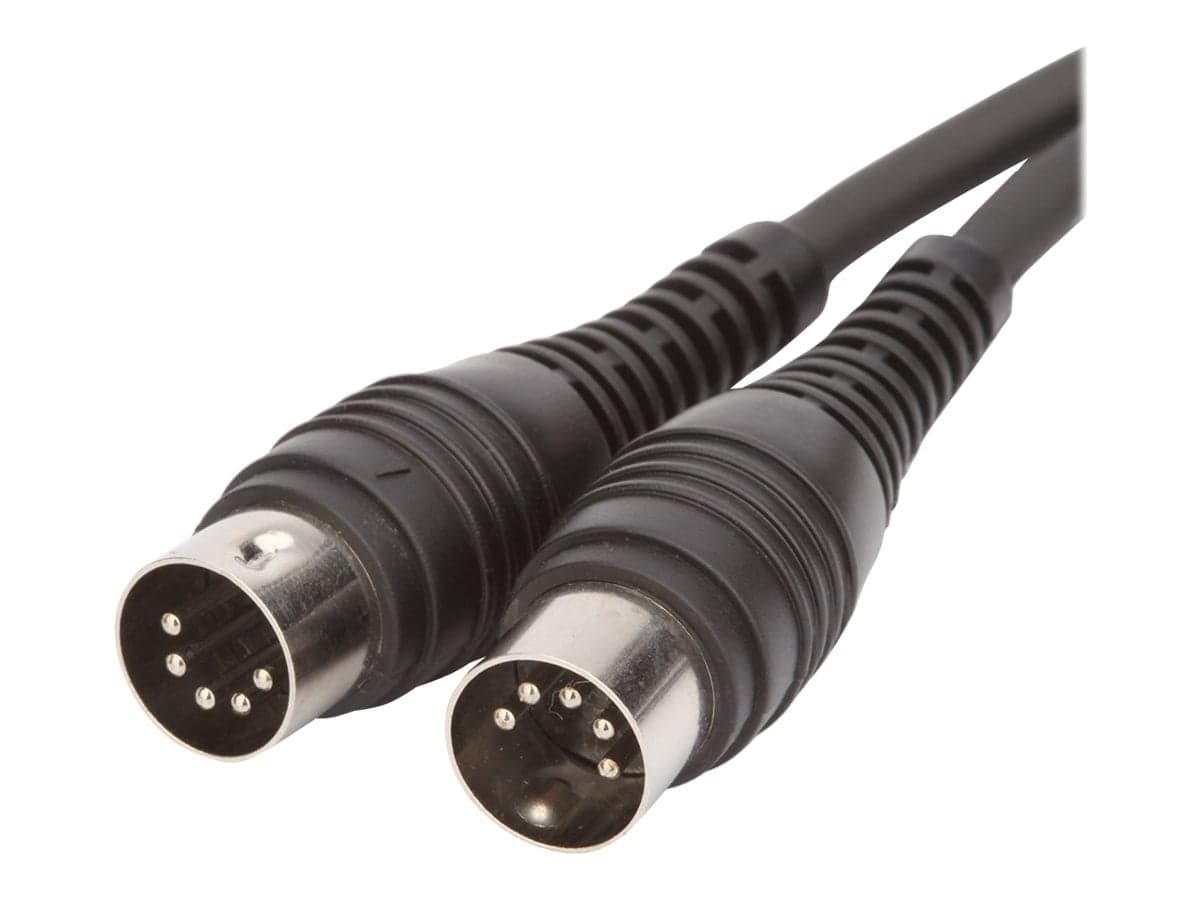 Shiver Câble MIDI 1 m