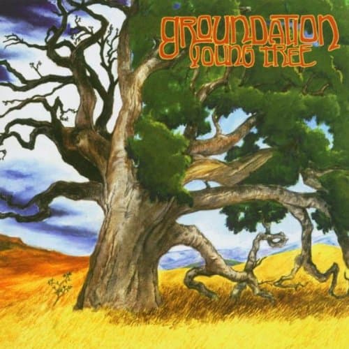 Groundation, Young Tree