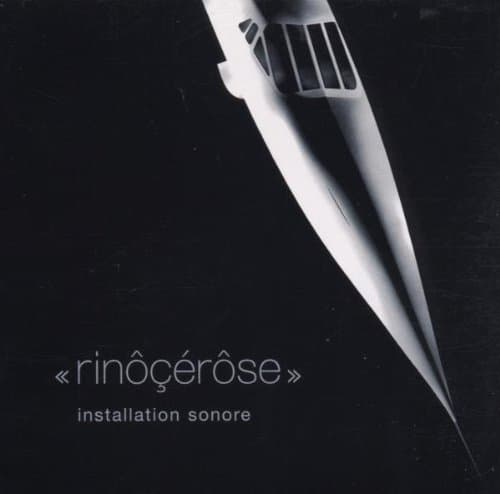 Rinôçérôse, Installation Sonore