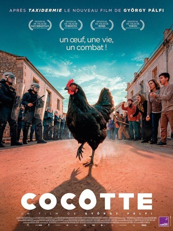 Affiche, 🌍🐔soirée Grecque ★ Cocotte • Présentation + Repas Musical