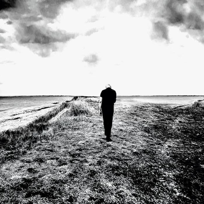 Affiche, Dominique A + 1ère partie