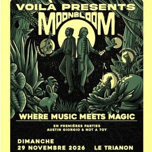 Affiche, Voila