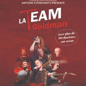 Affiche, La Team Goldman