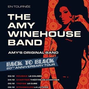 Affiche, The AMY Winehouse Band