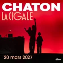 Affiche, Chaton