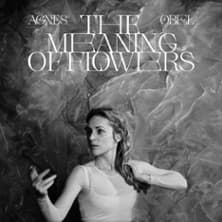 Affiche, Agnes Obel  - Tournée
