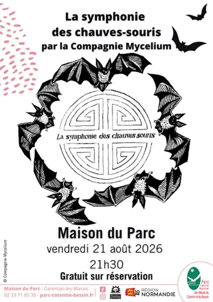 Affiche, La Symphonie des Chauves-souris