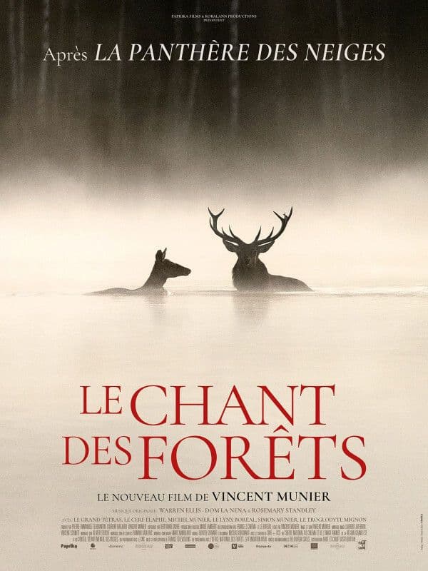 Affiche, Le Chant des forêts