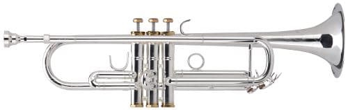 Lech Gold Lechgold TR-16S Trompette Bb