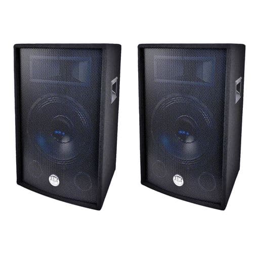 BM Sonic Enceintes passives 2x300W 30cm