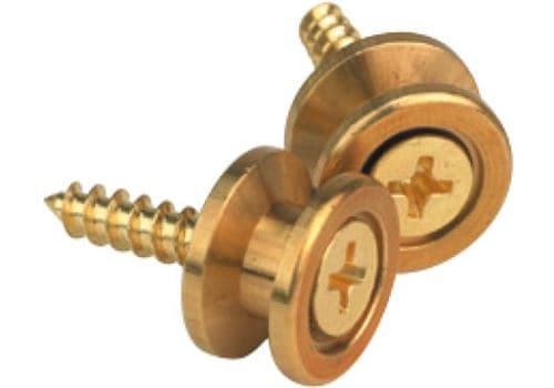 Planet Waves D Addario And Co Solid Brass End Pins Brass (pair)