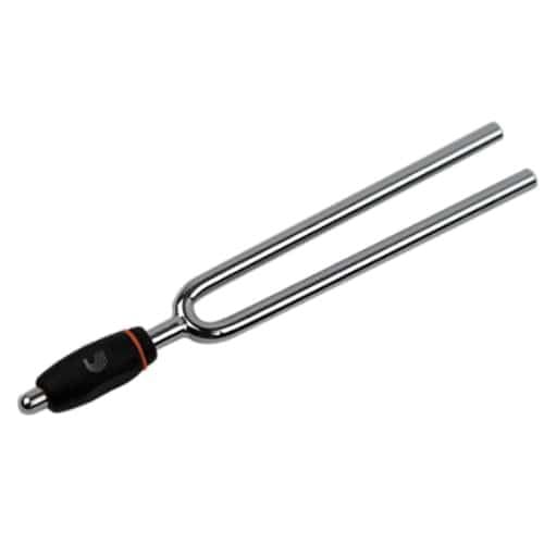 Planet Waves D Addario And Co Diapason en La Accordeurs