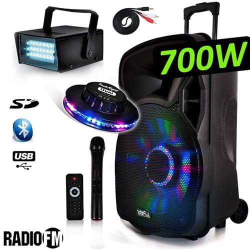 Party Light & Sound Mobile Batterie Karaoke PARTY12-LED 700W LEDs RVB DJ PA USB/BT/SD/ Radio FM / PC + Strobe + OVNI