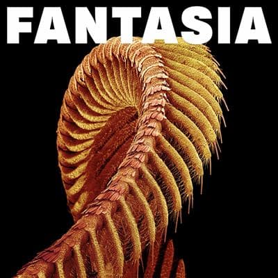 Slift, Fantasia