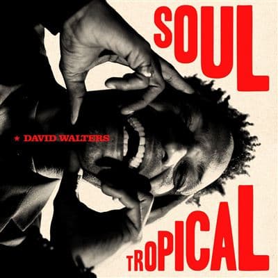 David Walters, Soul Tropical