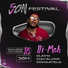Affiche, Son Festival N°5