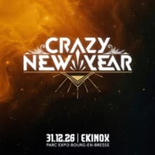 Affiche, Crazy New Year