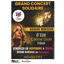 Affiche, Grand Concert Solidaire